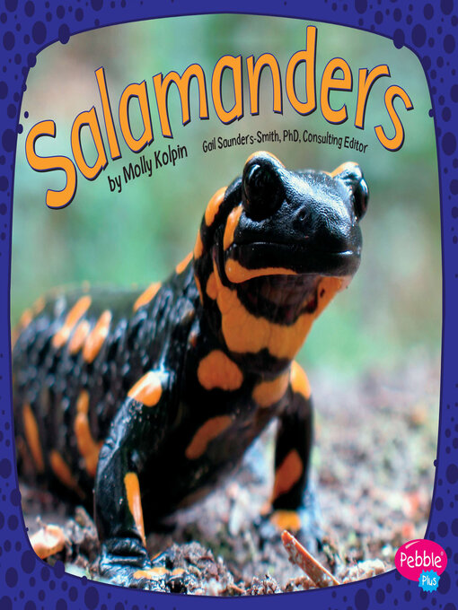 Cover image for Salamanders